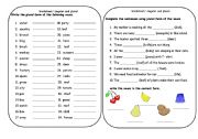 English Worksheet: singular and plural