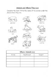 English worksheet: Animals and Where They Live