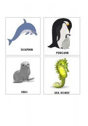 English Worksheet: S&O  ANIMALS FLASHCARDS SET 1 