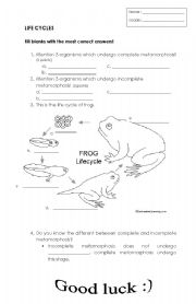 English Worksheet: LIFE CYCLE