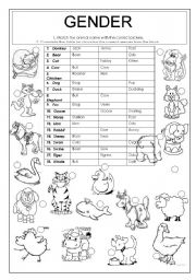 Gender: male, female and young - ESL worksheet by aletsteyn