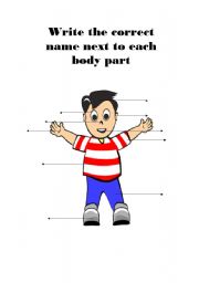 English worksheet: body parts