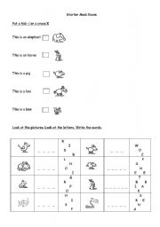 English worksheet: Starter exam