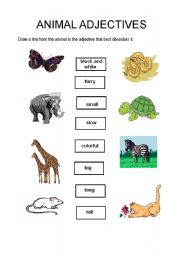 English worksheet: Animal adjectives