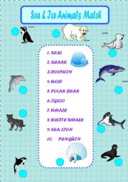 English Worksheet: Sea & Ice Animals Match