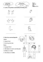 English worksheet: my body