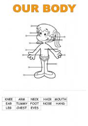 English Worksheet: OUR BODY