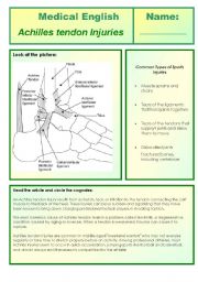 English Worksheet: medical english - achilles tendon injuries