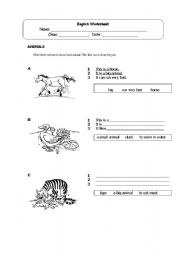 English worksheet: Animals