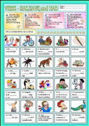 English Worksheet: Verbs - has,have and had