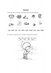 English worksheet: THE BODY