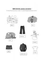 English Worksheet: Differences Between Summer and Winter