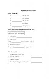 English Worksheet: Body Parts and Sense Organs