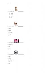 English Worksheet: multiple choice