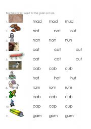 English Worksheet: Homonyms