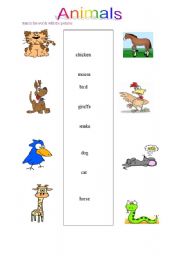 English worksheet: Animals worksheet for elementary students