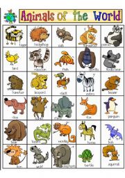 English Worksheet: Animals of the world Pictionary