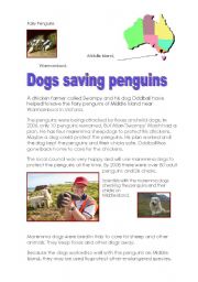 Dogs saving penguins- Pre-Intermediate