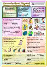 English Worksheet: Possessive Nouns (Singular and Plural)