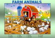 Farm Animals