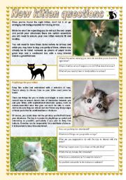 English Worksheet: New kitten questions