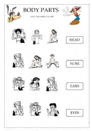 English worksheet: BODY 