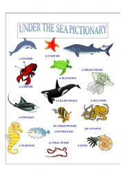 English Worksheet: Under the Sea 