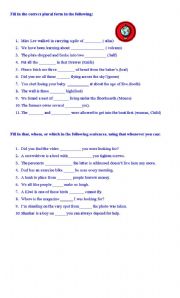 English Worksheet: Plurals worksheet 