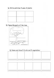 English worksheet: plants