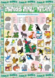 English Worksheet: Endangered Animals - Matching