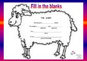 English Worksheet: Guided writing N 01 - The sheep