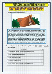 English Worksheet: READING COMPREHENSION - 