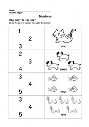 English Worksheet: Numbers practice for young learners