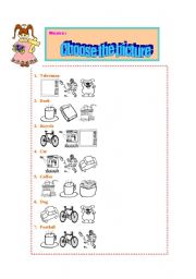 English worksheet: chose pictures