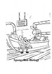 English worksheet: Sponge Bob Biology Pants