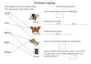 English worksheet: Minibeast Mapping