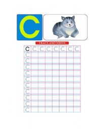 English worksheet: english alphabet