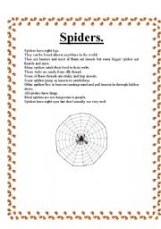 English worksheet: Spiders