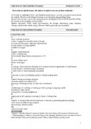 English Worksheet: The boy in the striped pyjamas (book&film)