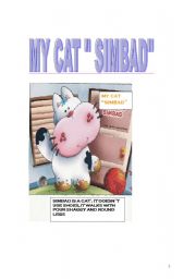 English Worksheet: my cat simbad