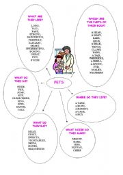 English Worksheet: Pets