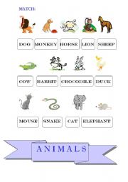 English Worksheet: ANIMALS