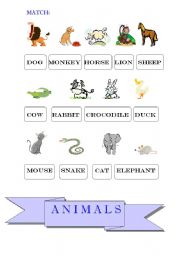 English worksheet: ANIMALS