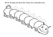English Worksheet: caterpillar graphic organizer