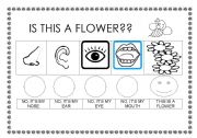 English Worksheet: A Bee araund me