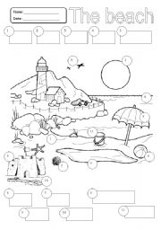 English Worksheet: The Beach