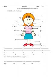 English Worksheet: Human Body 