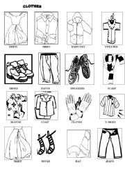 clothes 
