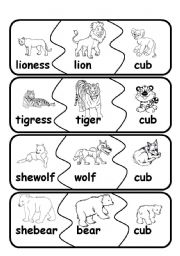 English Worksheet: animal families3