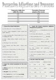English Worksheet: Possessive Adjectives and Pronouns